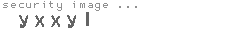 security image