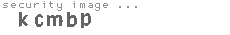 security image