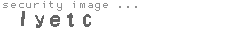 security image