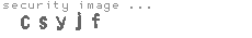 security image