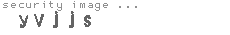 security image