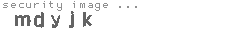 security image