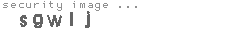 security image