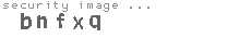 security image