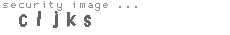 security image