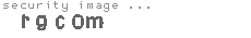 security image