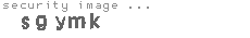 security image