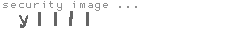 security image