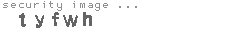 security image