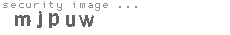 security image