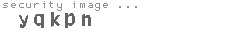 security image