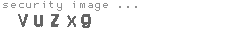 security image