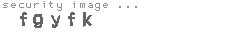 security image