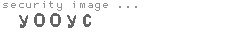 security image