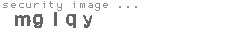 security image
