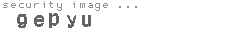 security image