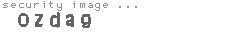 security image