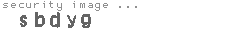 security image