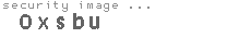 security image