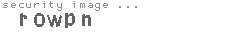 security image
