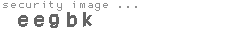 security image