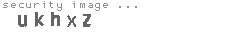 security image