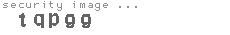 security image