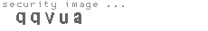 security image