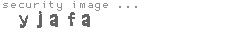 security image