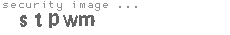 security image