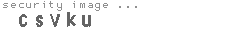 security image