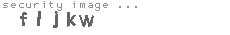 security image