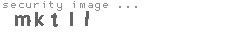 security image
