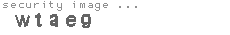 security image