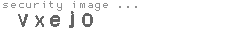 security image