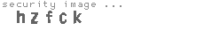 security image