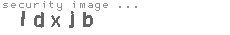 security image