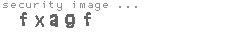 security image