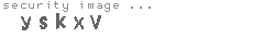 security image