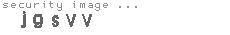 security image