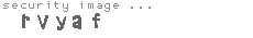 security image