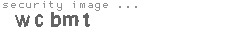 security image