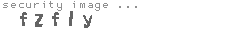 security image