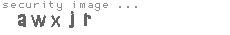 security image
