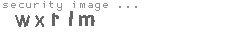 security image