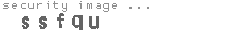 security image