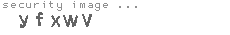 security image