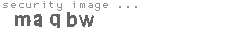 security image