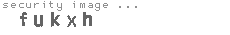 security image