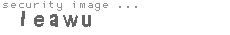 security image
